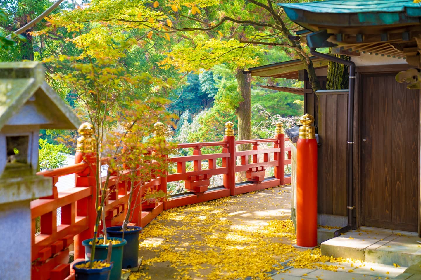 🍁 Nomiyama Kannonji Temple — Where Autumn Paints the Mountains of Fukuoka