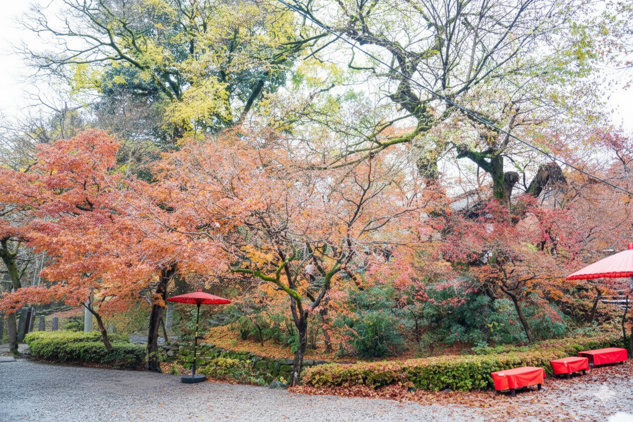Wrapped in a Carpet of Autumn Leaves: A Journey Through Akizuki Castle Ruins